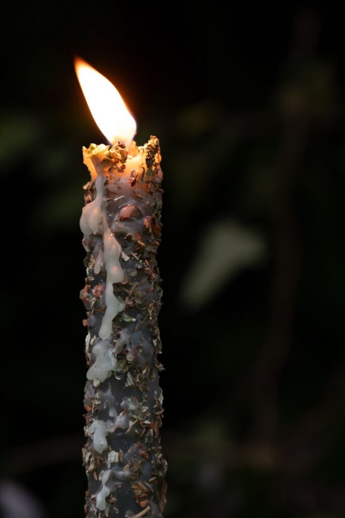 Bougie aux plantes allumée